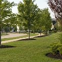 Scenery Montville Duchek 4292